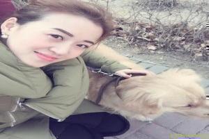 好感度upup百度网盘