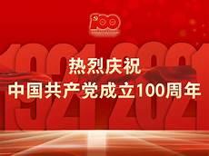 建党100周年内容简短