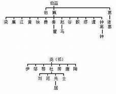 姓氏起源树状图