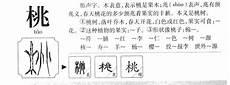 关于桃的二字词